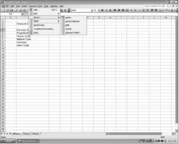 Figure 1.4: Hiding a Cell in Excel