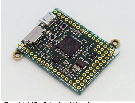 Figure 3-1. A MicroPython board (about the same size as apostage stamp)