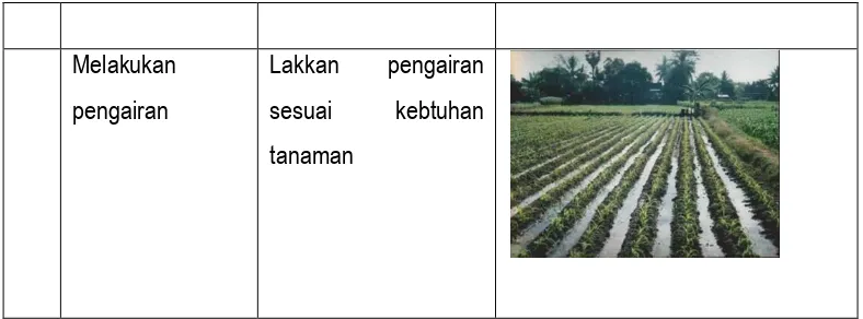 Tabel 1. Pengaruh air pada pertumbuhan tanaman produksi 