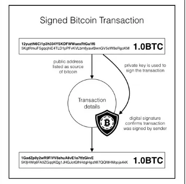 Figure 1.11 -A transaction with a digital signature