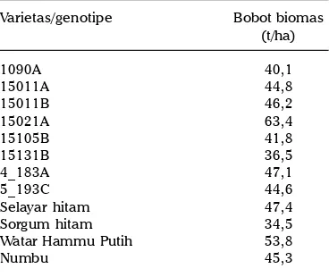 Tabel 4. Bobot biomas segar sorgum manis. KPBajeng MK-1, 2013.
