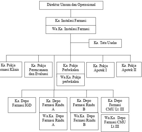 Gambar 3.1  Struktur Organisasi Instalasi Farmasi RSUP H. Adam Malik 