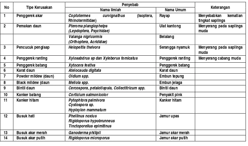 Tabel 4.3. Jenis hama dan Penyakit  tanaman Acasia mangium 