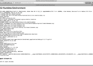 Figure 8-1: The CGI runtime environment, from a shell script