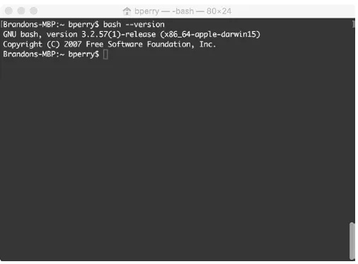 Figure 0-1: The Terminal app on OS X, showing a version of bash