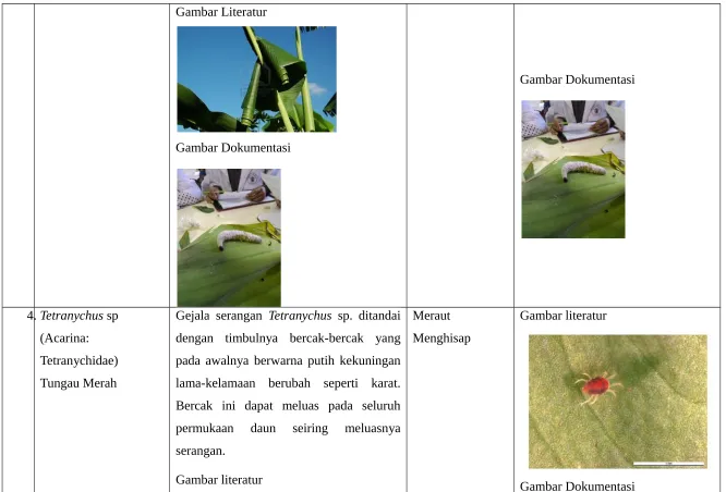 Gambar Literatur
