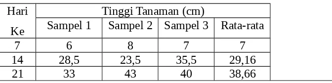 Tabel 1. Tinggi tanaman jagung tanpa pengaplikasian pupuk (D0)