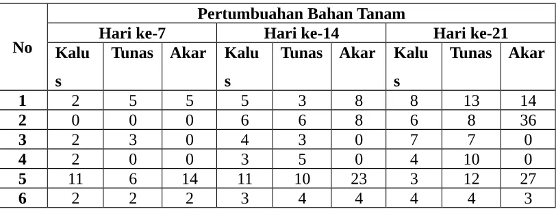 Tabel 4.1.2 Eksplan Embrio Jagung Pada Pengamatan Terakhir Hari ke-21
