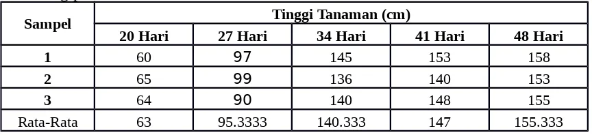 Tabel 1. Tinggi Tanaman Jagung Dengan Jarak Tanam 10 x 25 cm dan Dosis Urea 90g/plot