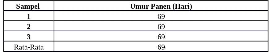 Tabel 4. Umur Panen Tanaman Jagung Dengan Jarak Tanam 10 x 25 cm dan Dosis Urea90 g/plot