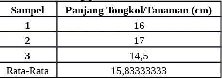 Tabel 7. Panjang Tongkol/Tanaman Jagung Dengan Jarak Tanam 10 x 25 cm dan DosisUrea 90 g/plot
