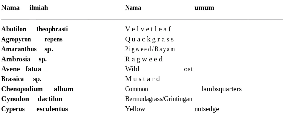 Tabel 1. Gulma yang umum dijumpai pada pertanaman jagung yang mengeluarkan senyawa allelopati.