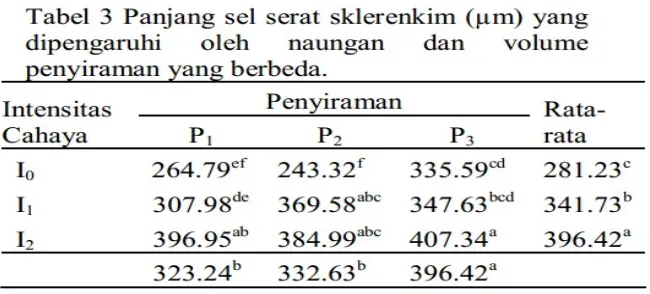 Tabel 3 menunjukkan bahwa perlakuan naungan  paranet 55%  menghasilkan ukuran