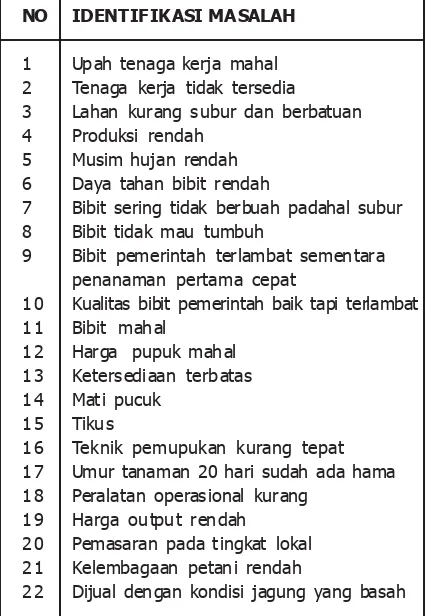 Tabel 2Identifikasi Permasalahan di Desa