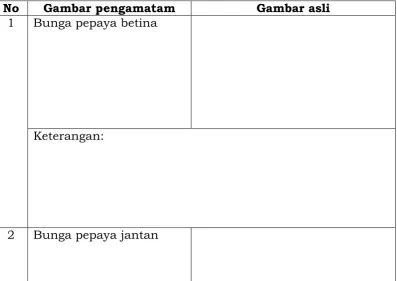 Gambar pengamatam 