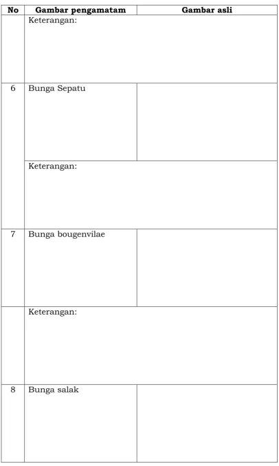 Gambar pengamatam 