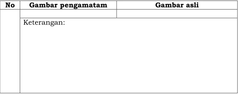 Gambar pengamatam 
