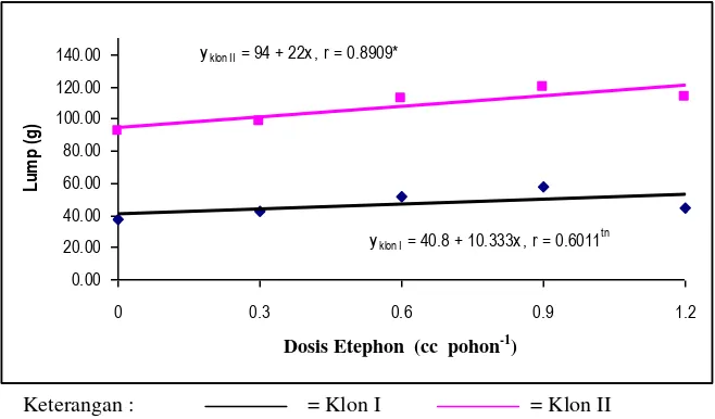Gambar 3. Hubungan rata-rata lump yang terbentuk pada pohon karet dengan dosis etephon klon RRIM 600 dan klon PB 260 pada bulan pertama     