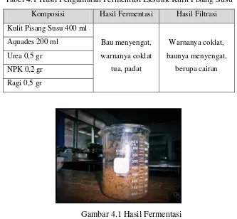 Tabel 4.1 Hasil Pengamatan Fermentasi Ekstrak Kulit Pisang Susu 