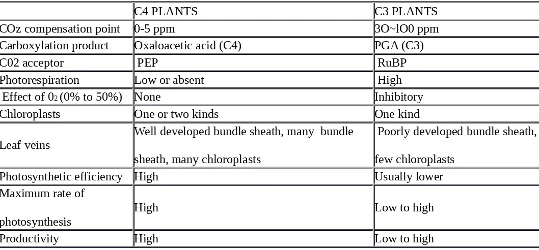 TABLE . Differences between plants having C4 or C3 cycles of primary 