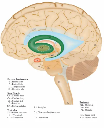 FIGURE OL:Overview Diagram 