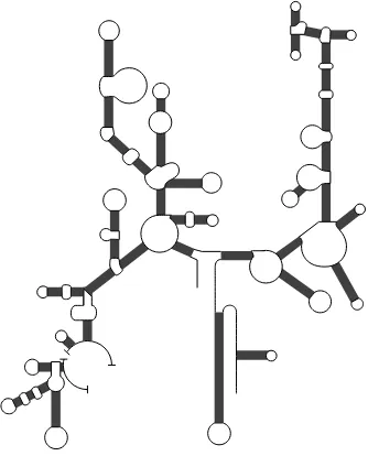 Fig 12.22. The typical cloverleaf structure oftRNA.