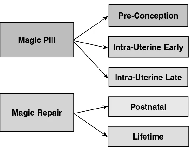 FIGURE 10.1 The magic phases of spinal dysraphism.