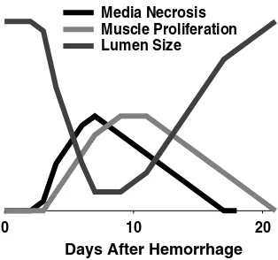 FIGURE 11.1 (See color insert following page 146.) Time course of delayed cerebral vasos-pasm