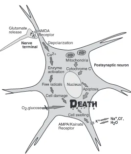 FIGURE 4.1 (See color insert following page 146.) Mechanisms of cell death. A typicalneuron is represented indicating a variety of perturbed physiological mechanisms leading tocell death