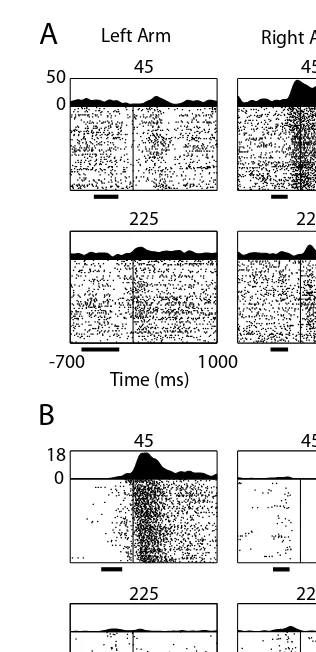 FIGURE 4.3 Activity of two neurons recorded in M1 (left hemisphere) during unimanualmovements