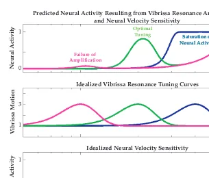 FIGURE 2.8 Neural velocity sensitivity may impact the expression of vibrissa resonance.1000 Hz, to emulate the neural sensitivity to higher frequency stimulation resulting fromvelocity sensitivity