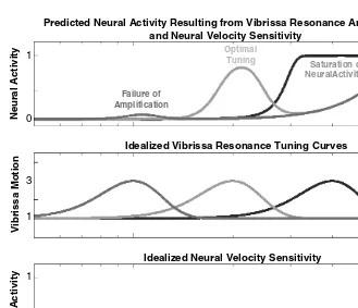 FIGURE 2.8 (See color ﬁgure following page 78) Neural velocity sensitivity may impact