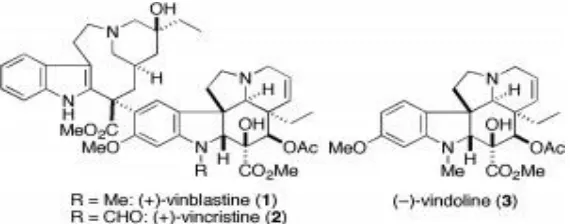 Gambar 1.2. Struktur kimia vincristine, vinblastine, dan vindoline. 