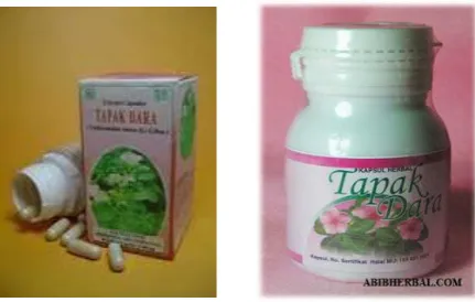 Gambar 1.3. Contoh produk 