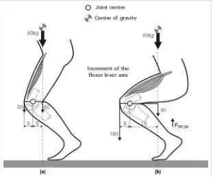 Figure 4.3. Body weight line of action and quadriceps extension force applied to different positions of knee flexion of the flexor lever arm on the reaction force in the patellofemoral joint (F(a&b)