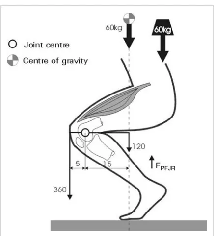 Figure 4.4. Effect of the hip flexion on the reaction force at thepatellofemoral joint.