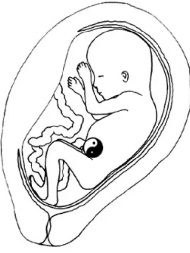 Fig. 1.1 Energy enters the human fetus at the navel and circulates inMicrocosmic Orbit, harmonizing yin and yang energy.
