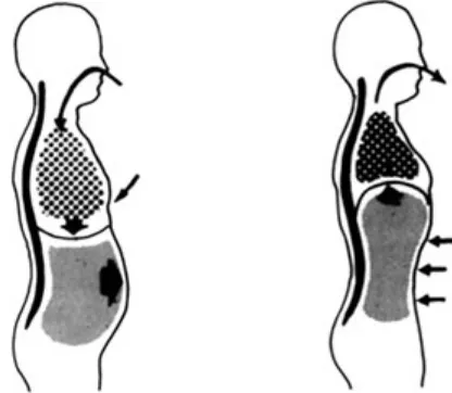 Fig. 2.5 To relax, practice taking long slow deep breathsin the abdomen, not the chest.