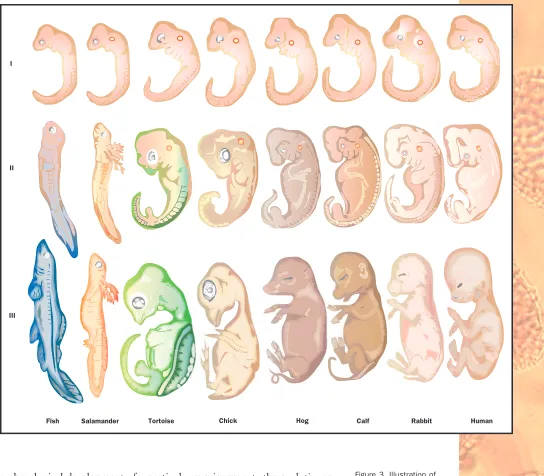 Figure 3. Illustration of