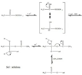 Gambar 2.2 Mekanisme Reaksi Asetilasi (Muliawati, 2012)