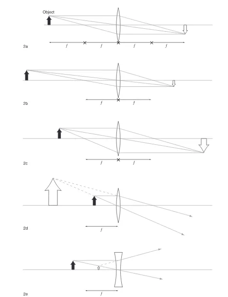 Figure 2. Illustration by Hans & Cassidy. Courtesy of Gale Group.