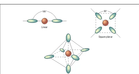 Figure 1.Two ligands (ammonia) each donate a pair of elec-trons to bond with a silver ion