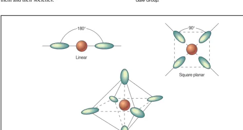 Figure 1.Two ligands (ammonia) each donate a pair of elec-trons to bond with a silver ion