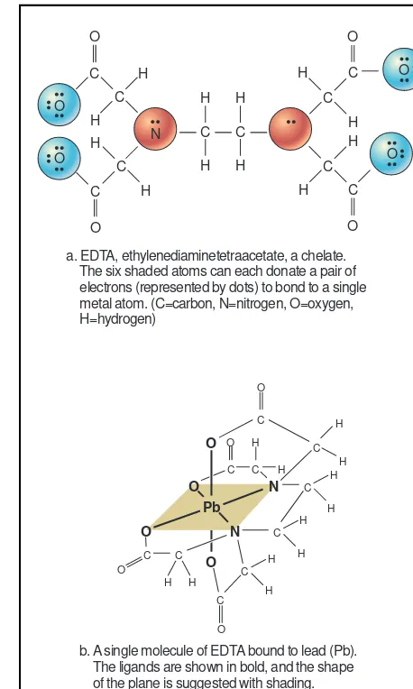 Figure 5. Ethylenediaminetetraacetic acid (EDTA) is one ofthe best-known chelating agents