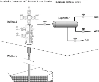 Figure 1.1A sketch of a petroleum production system.