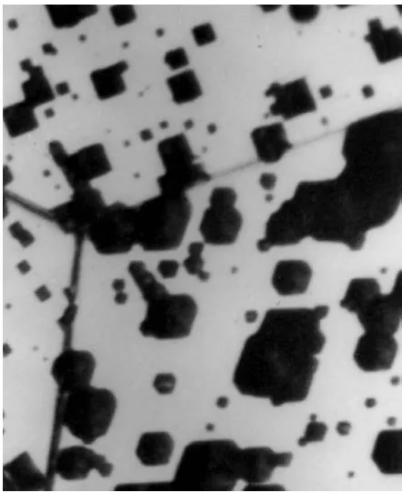 Figure 4.2 Etch pits in 3% silicon steel. Ferric sulfate solutionhas eaten out the distorted structure around dislocation lineswhere they intersect the metal surface