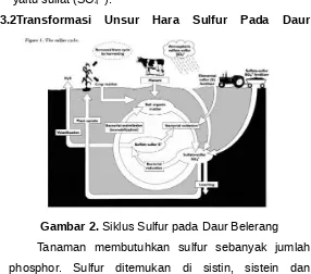 Gambar 2. Siklus Sulfur pada Daur Belerang