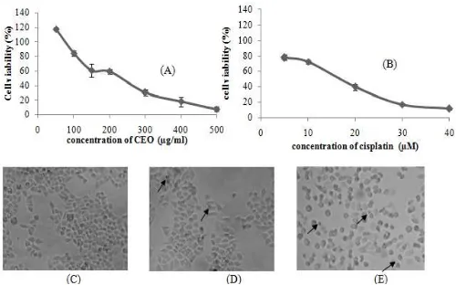 Fig. 2:  Effect of CEO-cisplatin combination treatment on cells viability  of HeLa cells.HeLacells (1x104 cells/well) were seeded in 96 wellplate and incubated for 24h, then treated with combination of CEO and cisplatin (1/2,1/4,1/8, and 1/20 of each IC50)