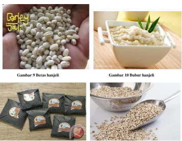 Gambar 10 Bubur hanjeli 