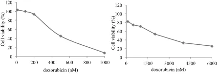 Figure 1. Cytotoxic Effect of K PGV-0 on T47D and 
